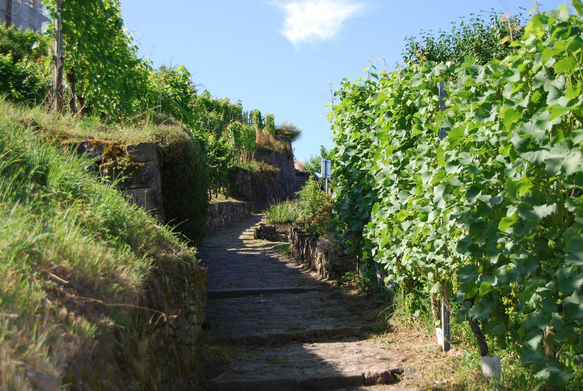 Unter Der Yburg Stetten Stetten (Kernen) Exterior foto