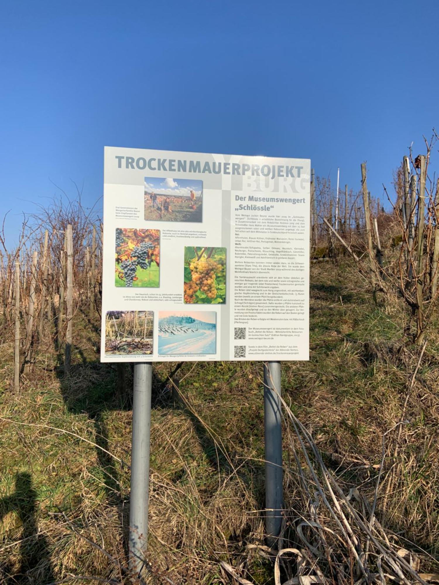 Unter Der Yburg Stetten Stetten (Kernen) Exterior foto