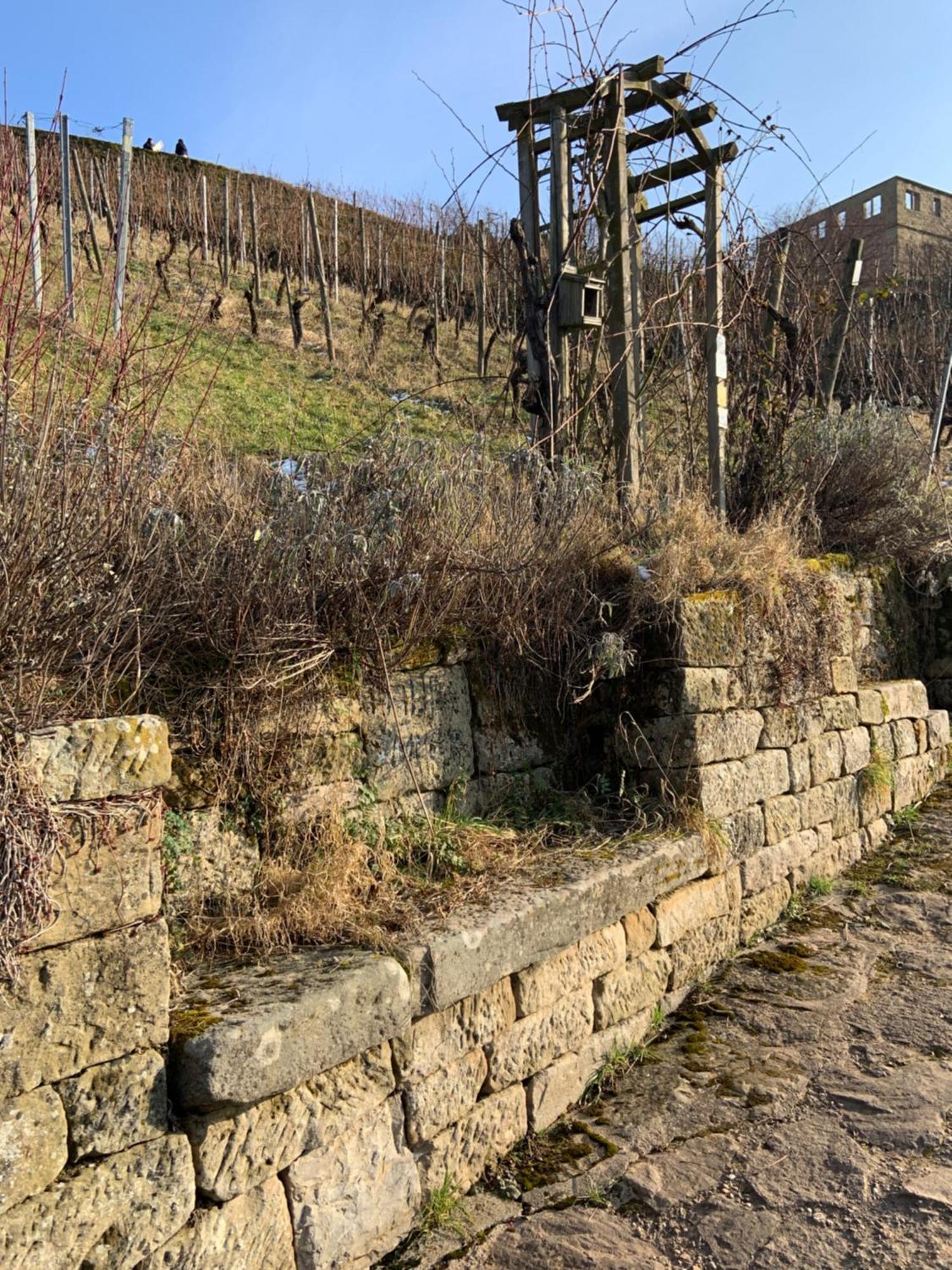 Unter Der Yburg Stetten Stetten (Kernen) Exterior foto